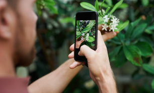 Tips for taking photos with your mobile