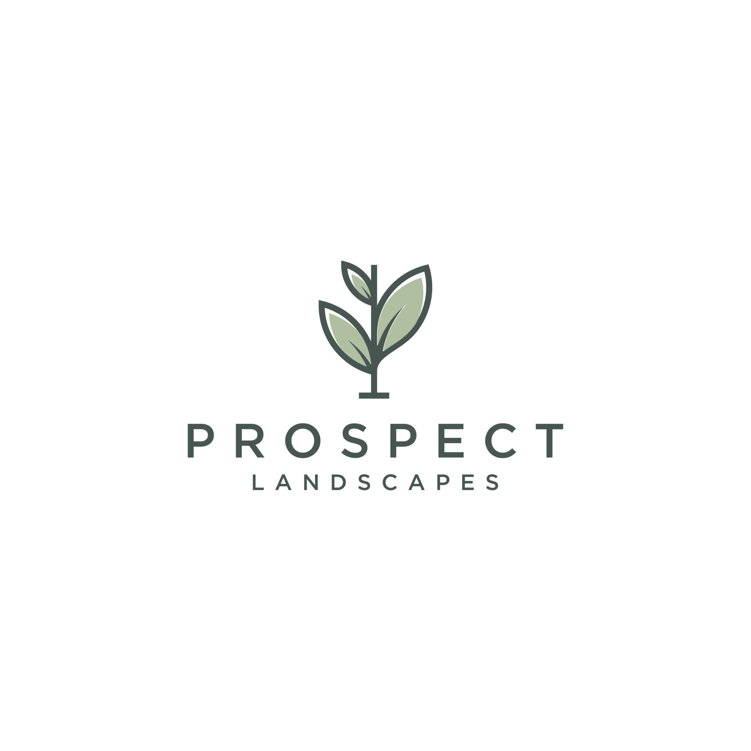 Prospect Landscapes