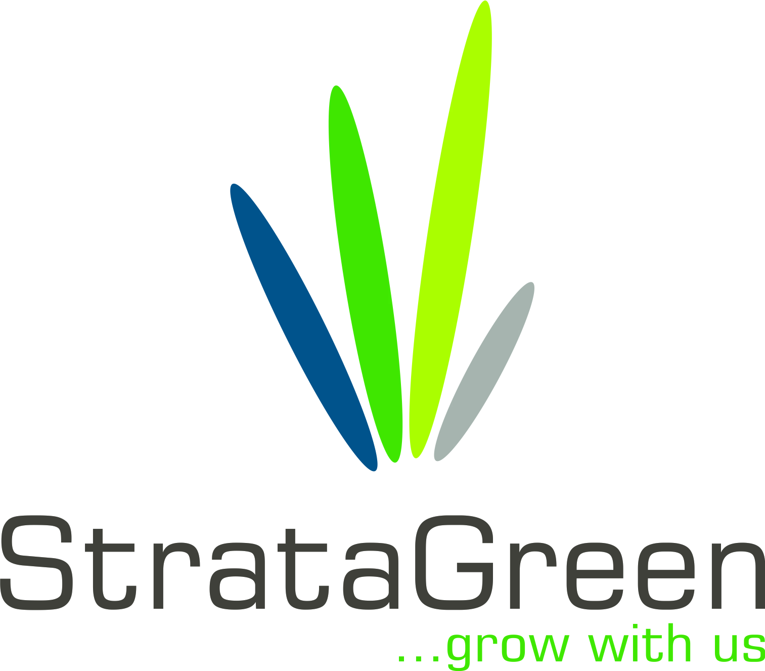 Strata Corporation