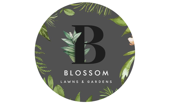 Blossom Lawns & Gardens
